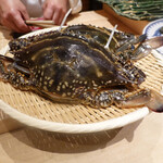 肉屋 田中 - 渡り蟹