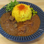 SPICE CURRY WANTED - 