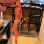 海の幸 さらむむ - 