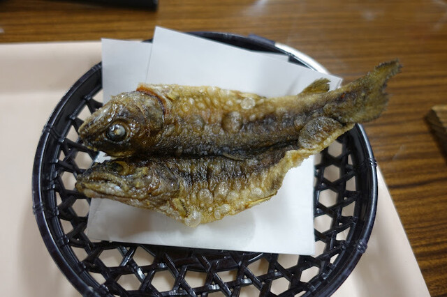 尾瀬沼ヒュッテ - 檜枝岐村その他（旅館・民宿）の写真