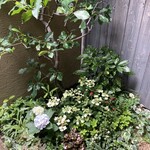 やまぐち - 可愛いミニ庭園