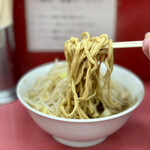 ラーメン二郎 - 小ラーメン　少なめ　850円
            ヤサイニンニクアブラカラメ