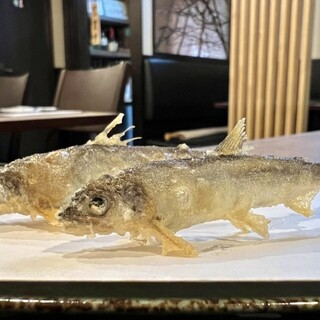 天ぷら あざらけ_1