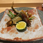 銀座 稲葉 - アユ