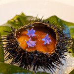 レストラン オオツ - 2022.6 乙部産ムラサキウニ カラフラワーのババロア 甲殻類のジュレ