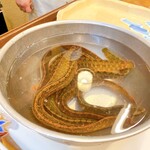 うを徳 - 江戸前 活 銀宝