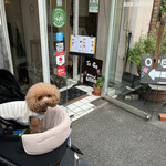 ＭＯＭＩＮＯＫＩ ＨＯＵＳＥ - お店の前でパチリ♪