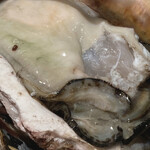 Yamashou - 岩牡蠣