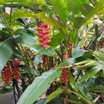 手打ちめん処 鍵 - 