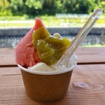 能勢倶楽部ジェラート工房 - ミルクといちご