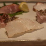 こころや - オオモンハタ