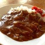 森田屋支店 - カレーライス：730円