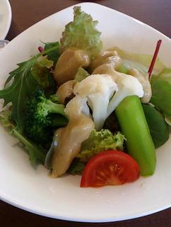 Risutorante Sa-Ya Kyuukyoku No Pasuta - サラダ程良い味のドレッシングが野菜の味を引き出しています。