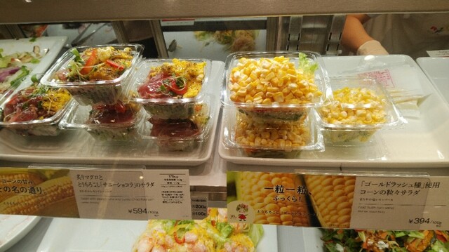 RF1 Daimaru Shinsaibashi Ten photo 2