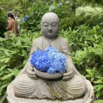 イチリン ハナレ - 