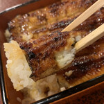 うなぎ 桜家 - 鰻重