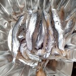 海星ムサシ - 料理写真: