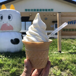 ヤツレン ソフトクリーム売店 - ソフト&ヨーグルト