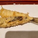 てんぷら 近藤 - 女鯒