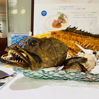 代官山ASO チェレステ 日本橋店 - 