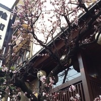 稚加榮 本店 - 