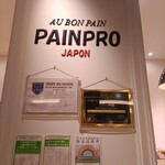 PAINPRO - 