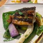 タケル クインディチ - 