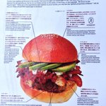 メニュー裏の説明文