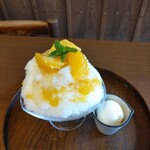 Aiduya - 甘夏かき氷(ヨーグルトアイス添え)
