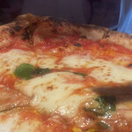 ターナ フォルノ - 