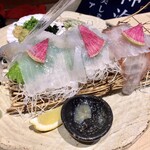 四ツ谷 魚一商店 - 泳ぎ活いかの姿造り。まだ生きています。