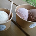 Haruwa Vegan ice - 料理写真: