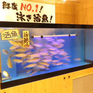 [Living tank] We provide live fish!