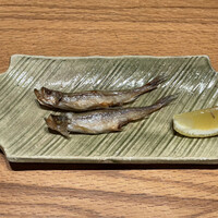 寿司 はせ川 心斎橋本店 - 