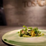 TOSAGE - 
