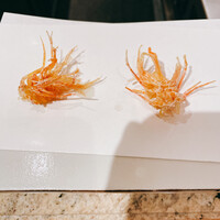 てんぷら 天翔 - 