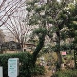 ファーム ヨコタ - 