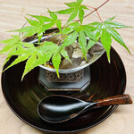 宮坂 - 青紅葉が清々しい「蕨餅」