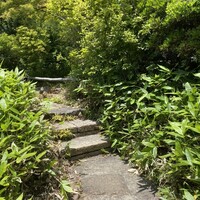 洋食 つばき - 