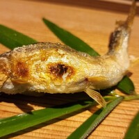 弧玖 - 