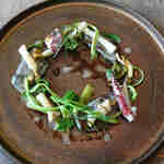 レヴォ - 赤烏賊