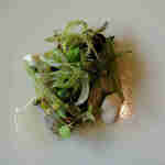 レヴォ - 青バイ