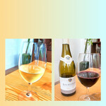 飛行船スタイル 南條 - ブルゴーニュ白＆赤