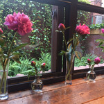 青山フラワーマーケット グリーンハウス 南青山本店 - 