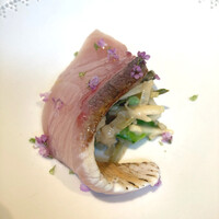 NeMo - 勘八