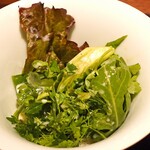 アカ - アホブランコ　ハーブ野菜と春の野菜と共に