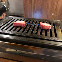 NO MEAT, NO LIFE.2nd - 