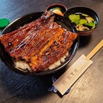 Unagi Ogawa - 