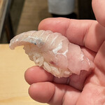 登喜和鮨 - 佐渡産の鰆