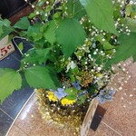 BERG - お店の前のお花